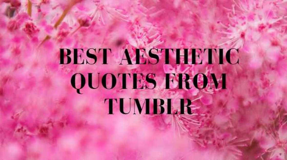 aesthetic quotes