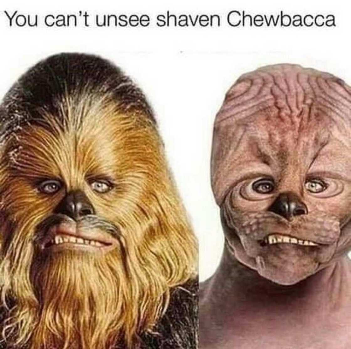 funny Star Wars funny Star Wars