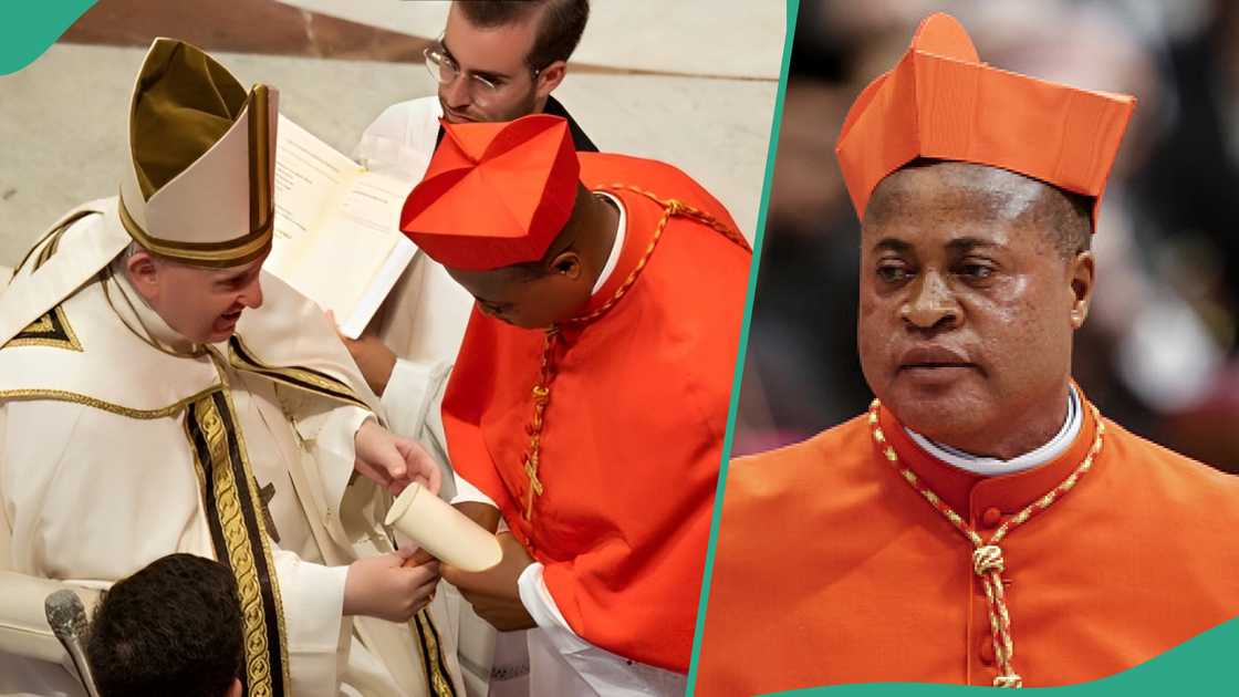 Why Nigeria’s Cardinal Okpaleke might not succeed Pope Francis' stirs fresh concerns Why Nigeria’s Cardinal Okpaleke might not succeed Pope Francis' stirs fresh concerns