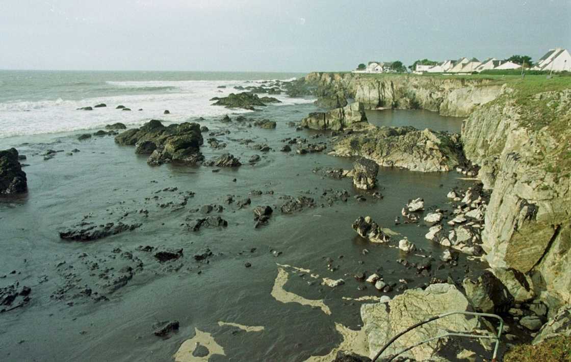 The heavy fuel oil spilled by the Erika polluted hundreds of kms (miles) of coastline The heavy fuel oil spilled by the Erika polluted hundreds of kms (miles) of coastline