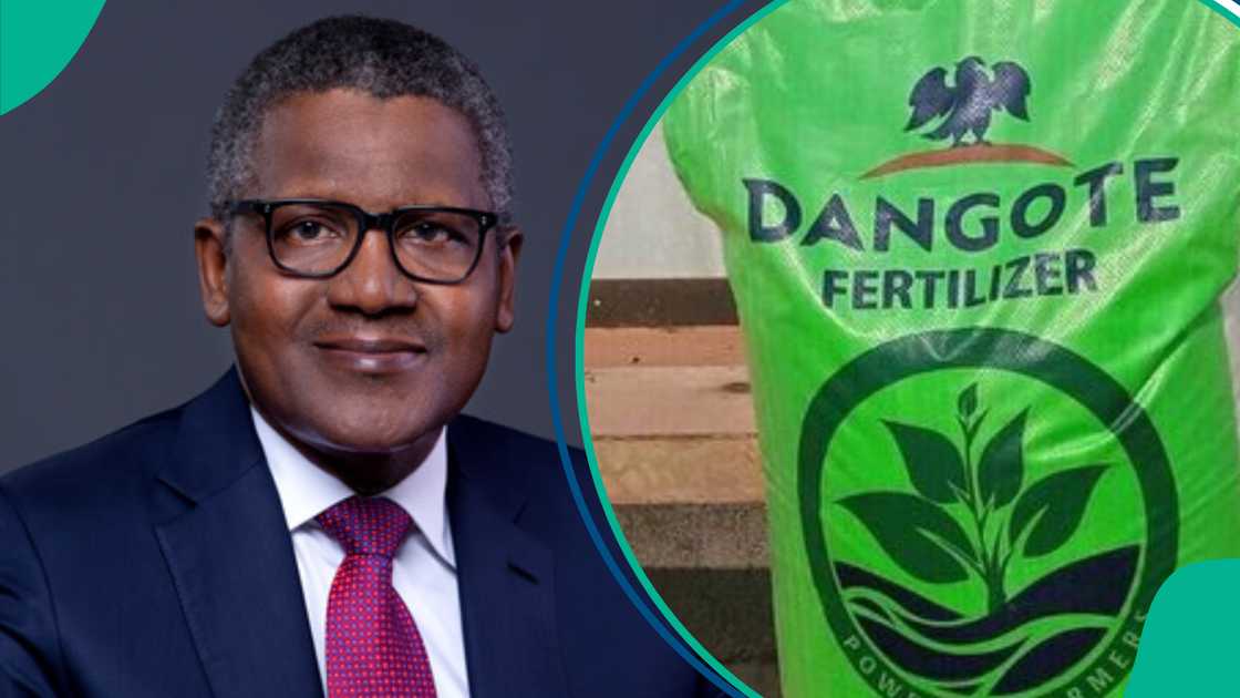 Dangote Moves to Build Largest Fertilizer Factory Dangote Moves to Build Largest Fertilizer Factory