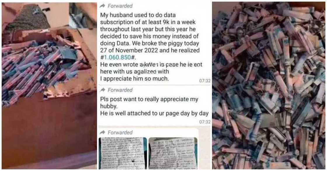 Piggy bank, husband, 9k weekly data subscription Piggy bank, husband, 9k weekly data subscription