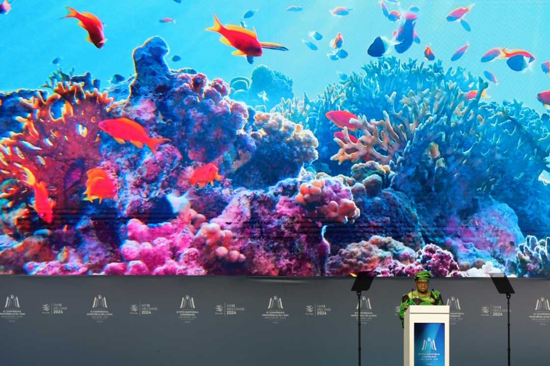 Okonjo-Iweala addressed fisheries subsidies at the Abu Dhabi WTO ministerial conference Okonjo-Iweala addressed fisheries subsidies at the Abu Dhabi WTO ministerial conference