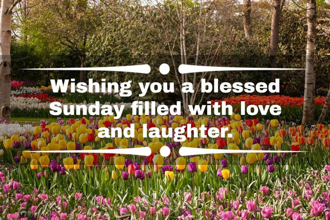 Sunday blessings