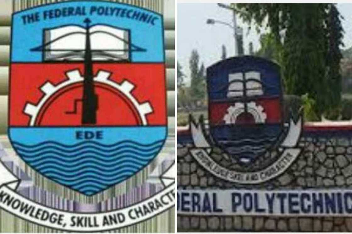 Best poly in Nigeria