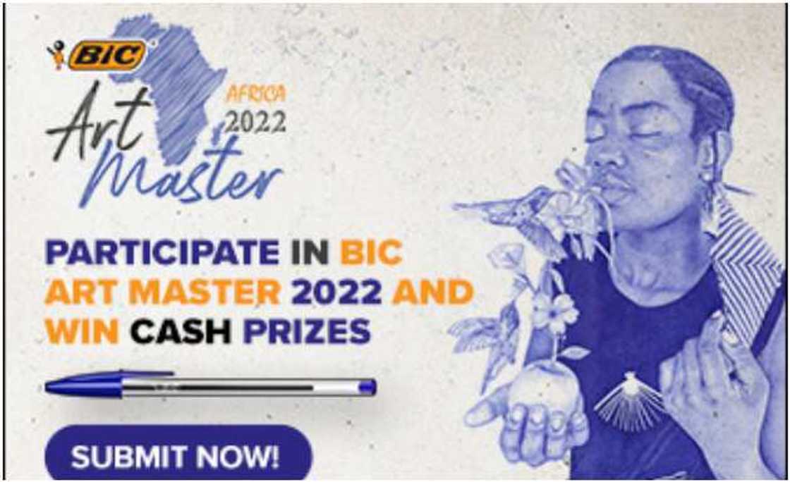 Art Master Africa Art Master Africa