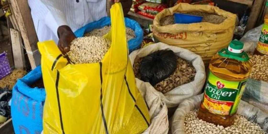 Yushau Shuaib lamented the hike in price of poultry feed Yushau Shuaib lamented the hike in price of poultry feed