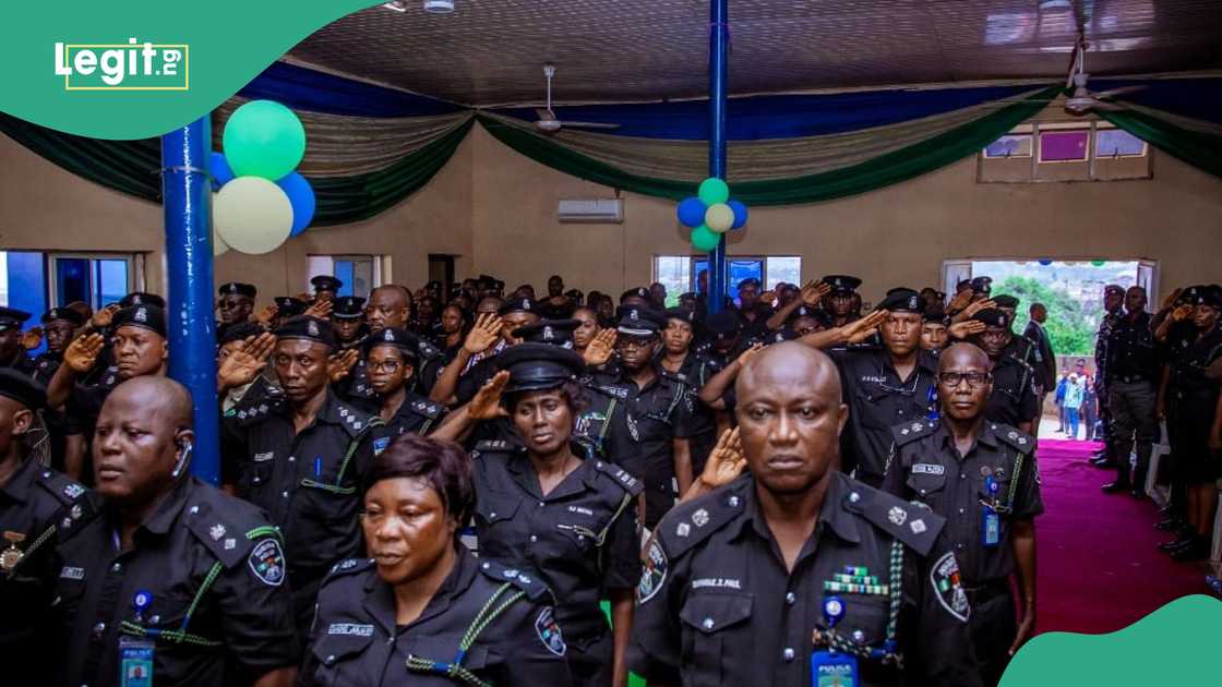 Kano CP celebrate as PSC promotes 181 senior officers Kano CP celebrate as PSC promotes 181 senior officers