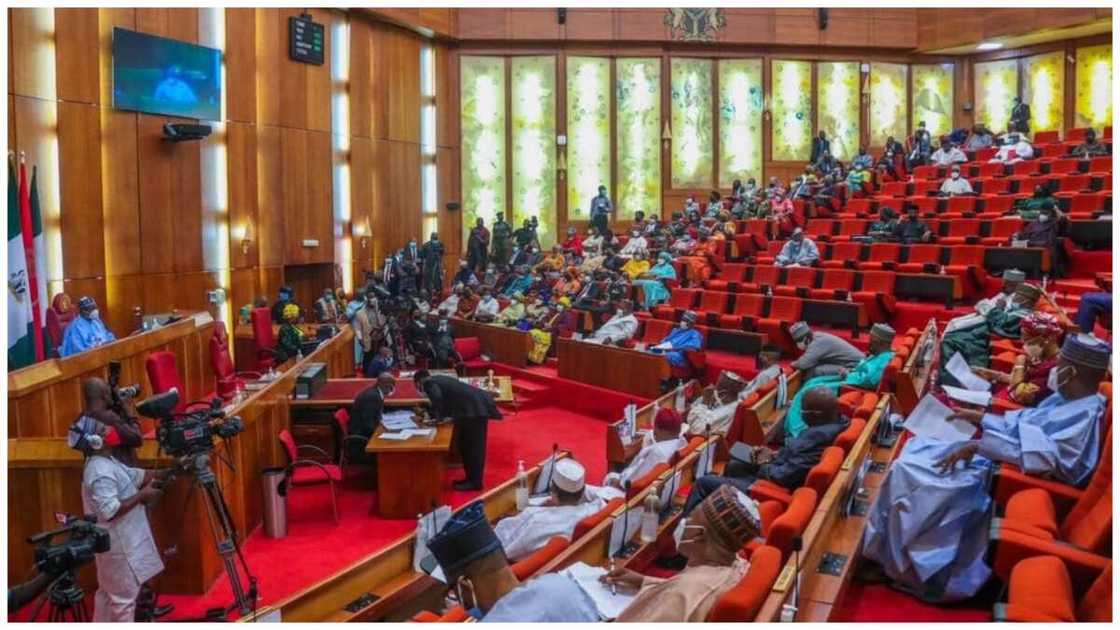 Senate may not reconsider gender bills, says Senator Abaribe Senate may not reconsider gender bills, says Senator Abaribe