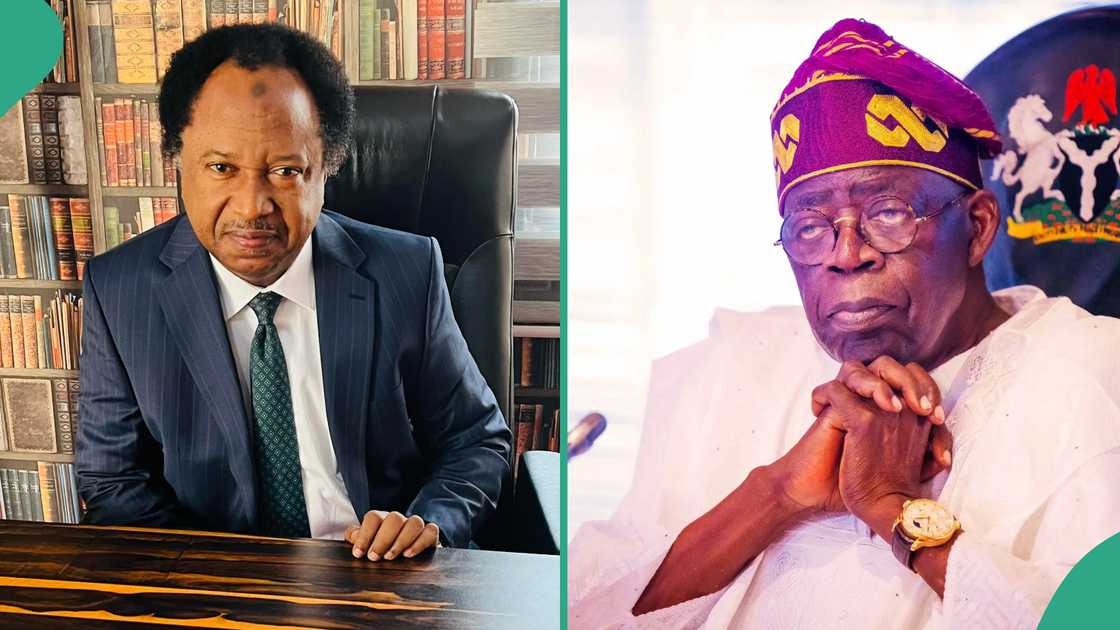 Economic hardship, fuel hike: Shehu Sani sends key message to Tinubu Economic hardship, fuel hike: Shehu Sani sends key message to Tinubu