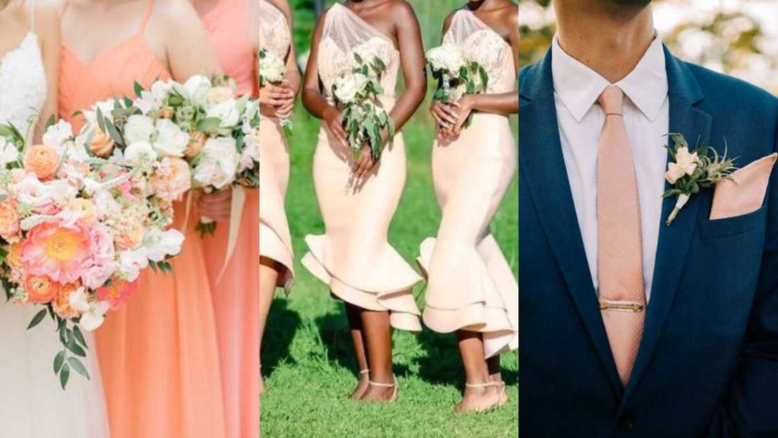 What color goes with peach for a wedding ceremony creative ideas Legit.ng