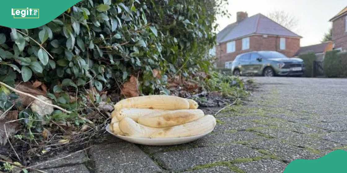 Peeled banana placed at roadside