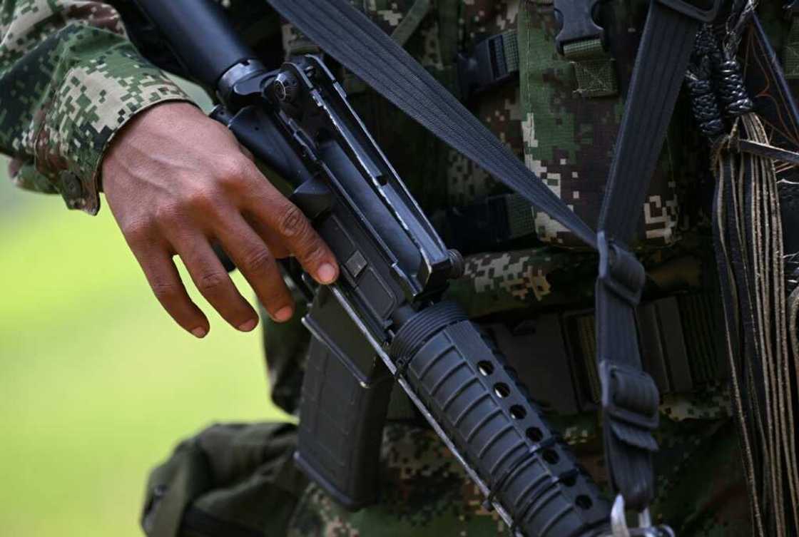 A member of a faction of the EMC, the main dissident group which broke away from FARC, patrols next to coca crops in one of their strongholds A member of a faction of the EMC, the main dissident group which broke away from FARC, patrols next to coca crops in one of their strongholds