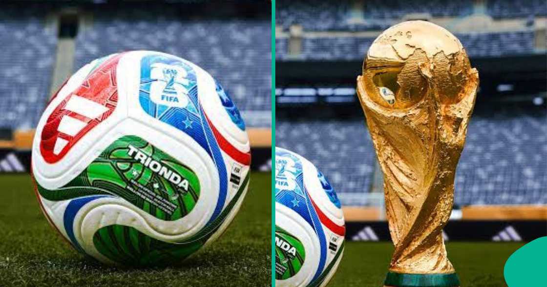 Lady predicts World Cup winner after analysing logo colours. Lady predicts World Cup winner after analysing logo colours.