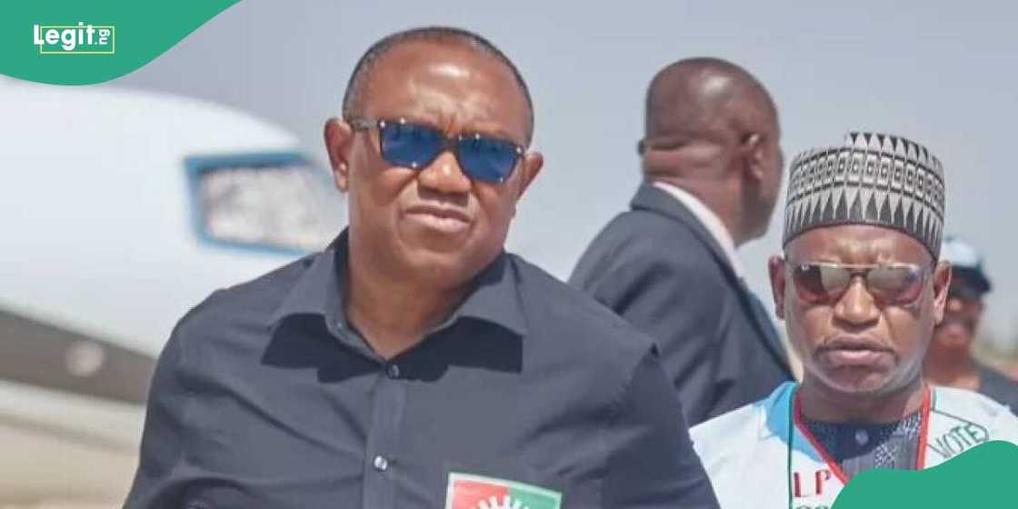 Peter Obi/Peter Obi news/Peter Obi news today/Peter Obi news now/tribunal/tribunal judgement Peter Obi/Peter Obi news/Peter Obi news today/Peter Obi news now/tribunal/tribunal judgement