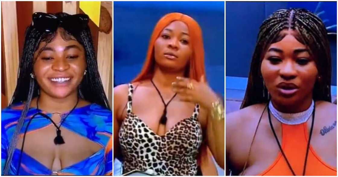 BBTitans Olivia BBTitans Olivia