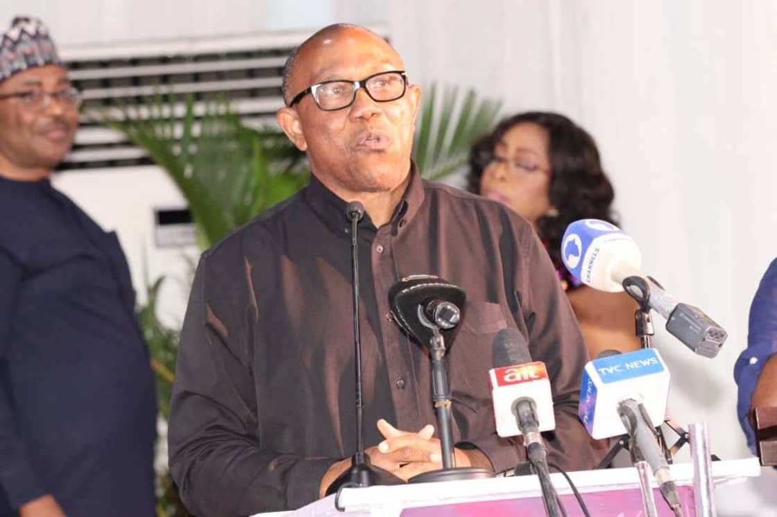 Peter Obi/2023 election/Labour Party/APC/PDP