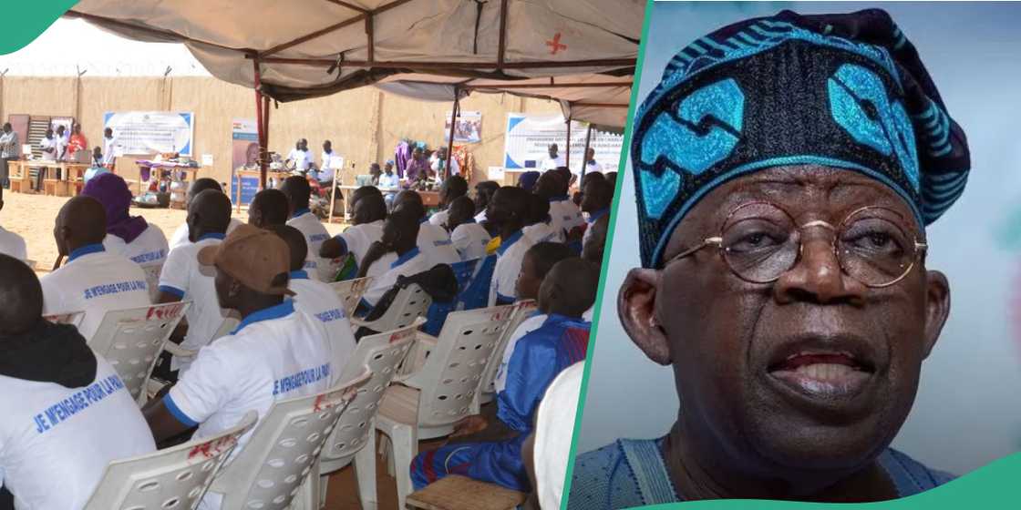 PDP chieftain tackles FG over rehabilitation of Boko Haram fighters PDP chieftain tackles FG over rehabilitation of Boko Haram fighters