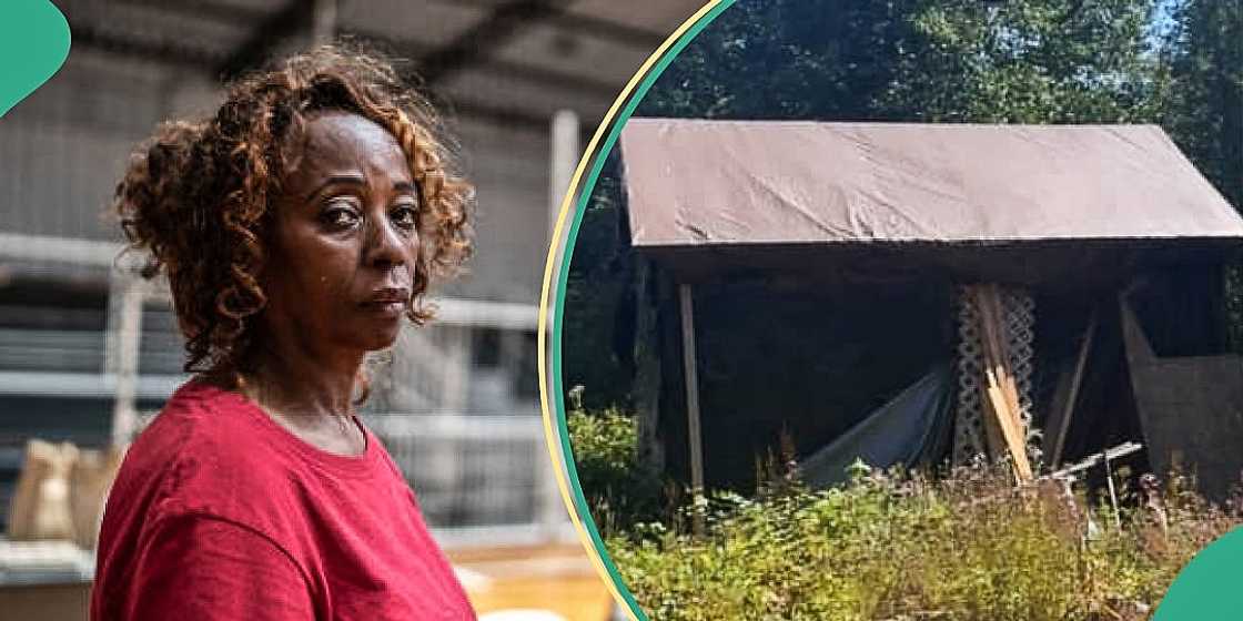 41-year-old woman shows off her small house