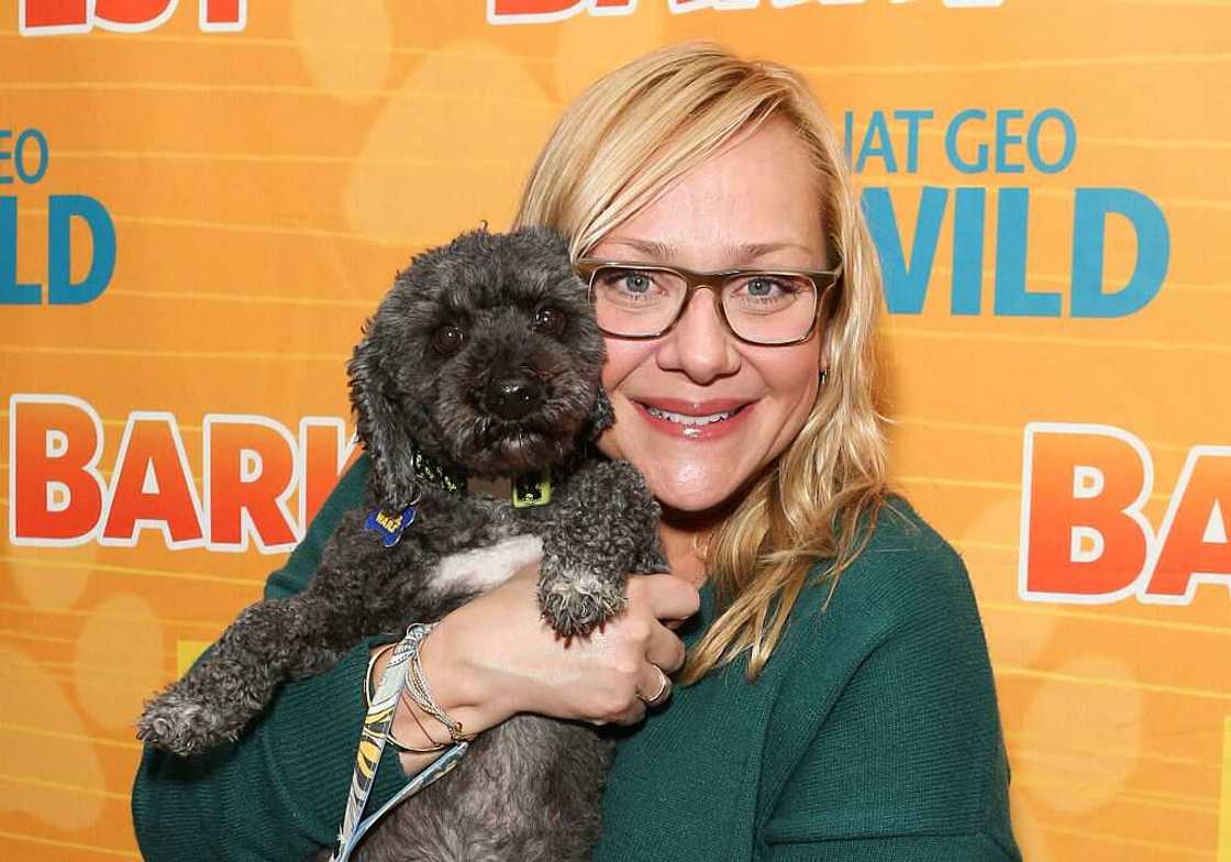 Nicole Sullivan movies Nicole Sullivan movies