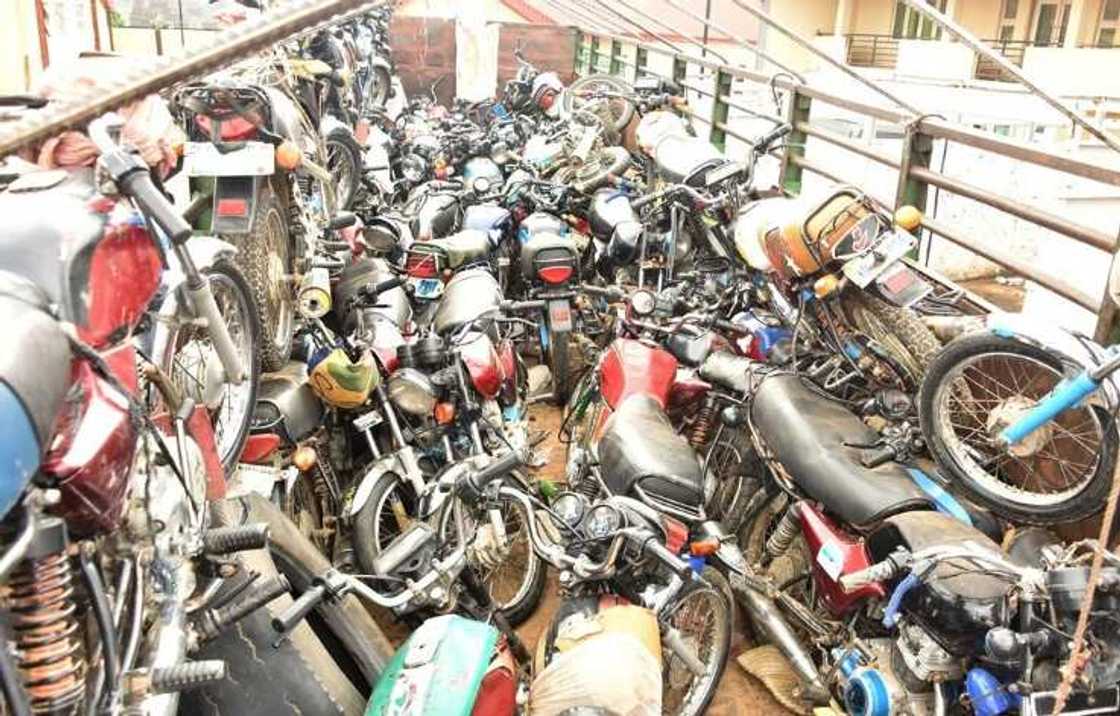 Katsina: Jami'an hukumar kwastam sun kwace babura 202 daga hannun 'yan bindiga Katsina: Jami'an hukumar kwastam sun kwace babura 202 daga hannun 'yan bindiga