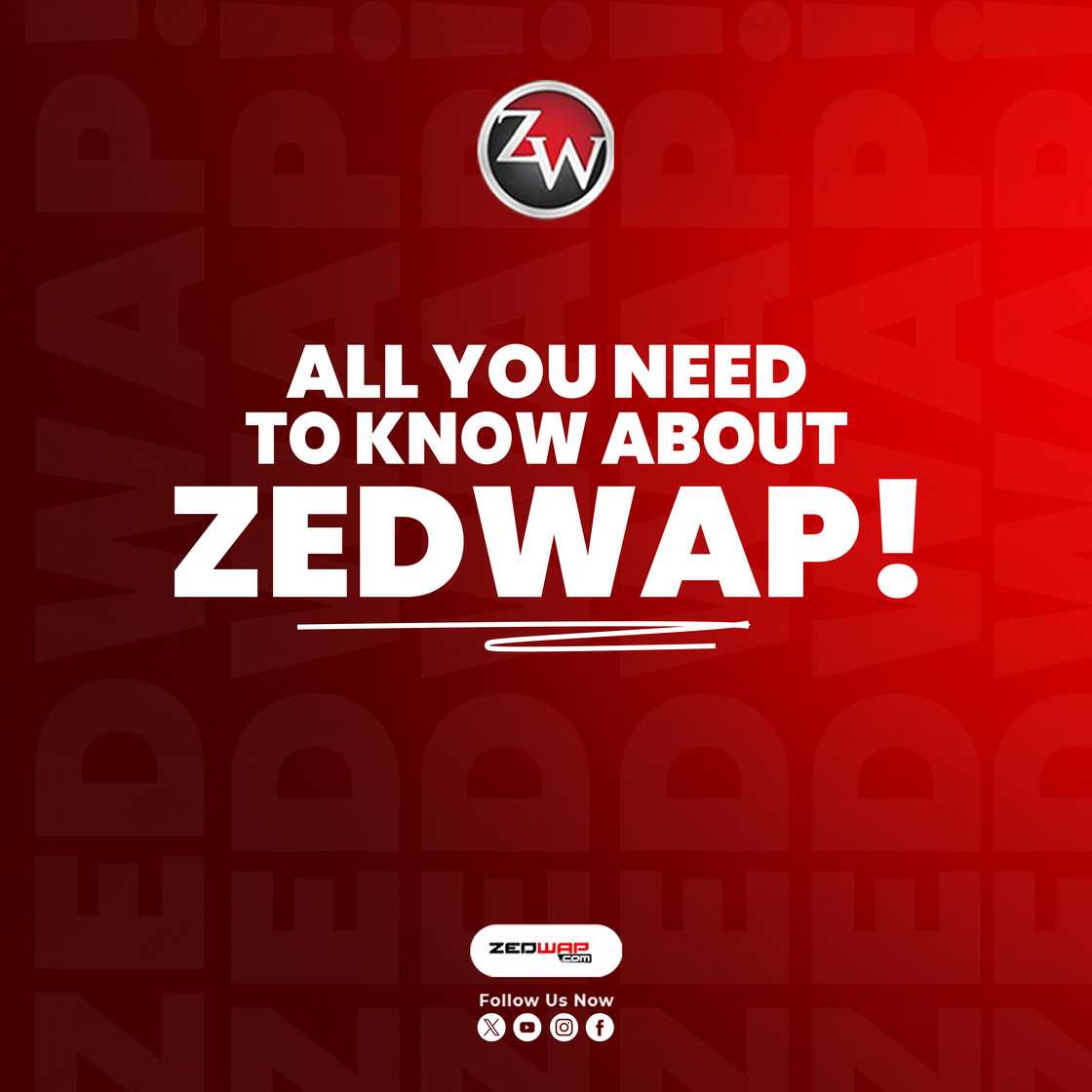 Entertainment Unleased: All You Need to Know About Zedwap