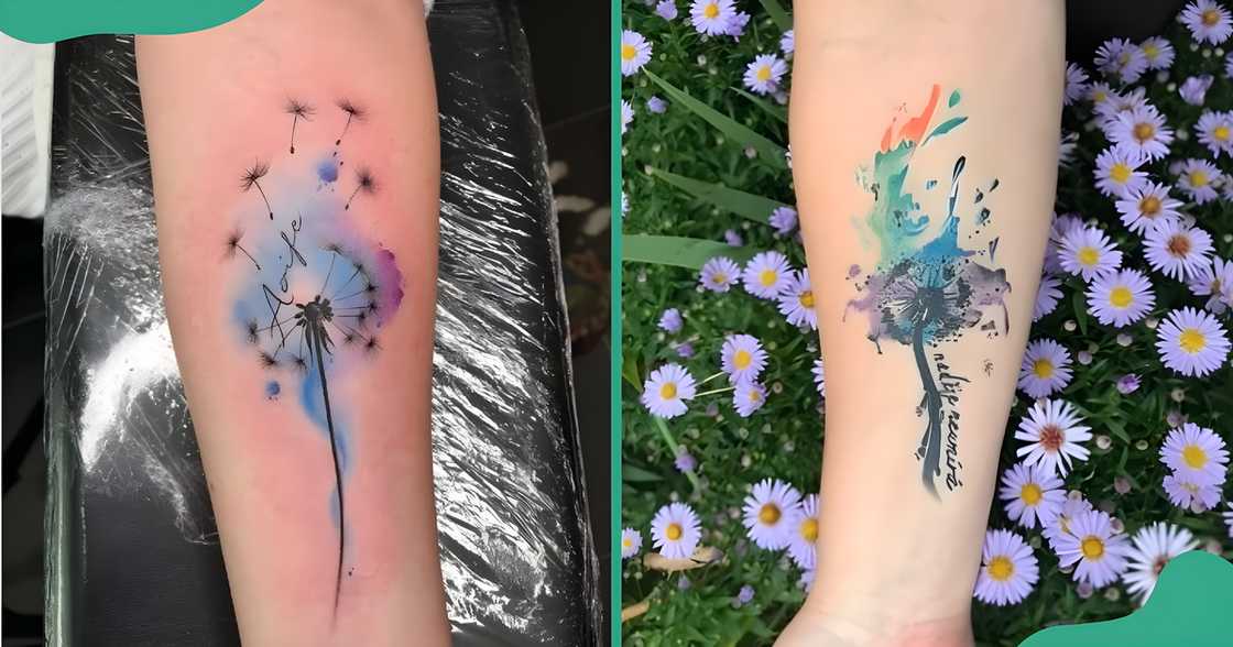 Colourful watercolour dandelion tattoos on the arms