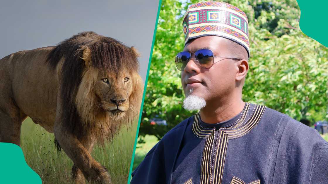 Reno Omokri flees for lion in Tanzania Reno Omokri flees for lion in Tanzania