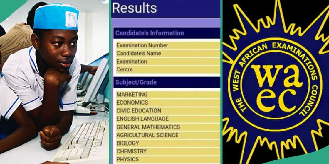 Student's WAEC result goes viral Student's WAEC result goes viral