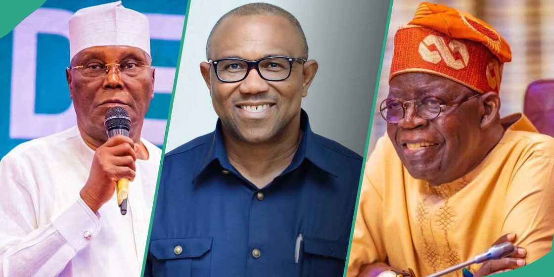Hamma Hayatu emphasized that without a well-structured coalition, the opposition stands little chance against Tinubu’s political machinery. Hamma Hayatu emphasized that without a well-structured coalition, the opposition stands little chance against Tinubu’s political machinery.