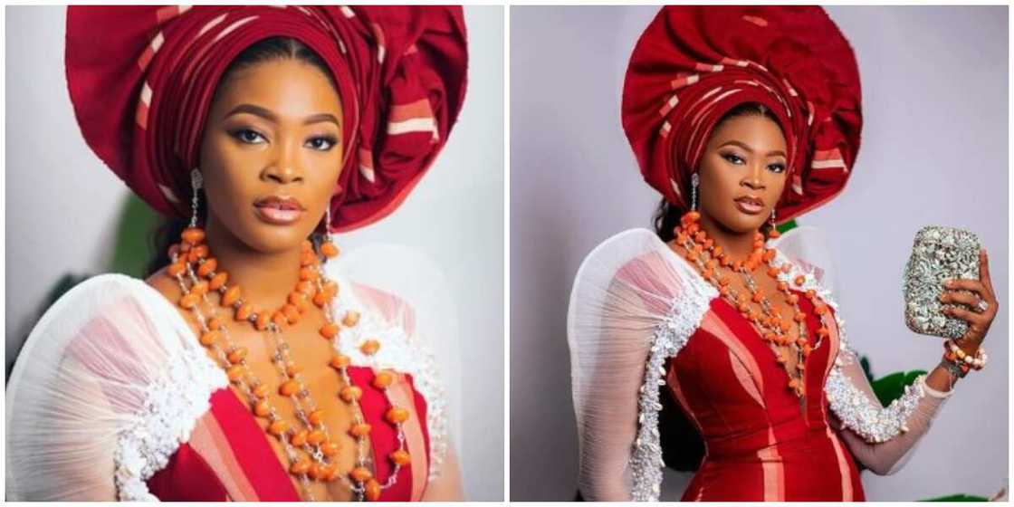 Photos of Kiekie Photos of Kiekie