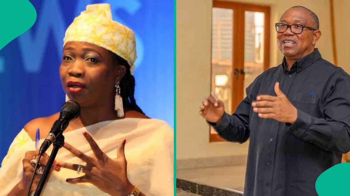 Dabiri-Erewa says Obedients will be Peter Obi‘s downfall