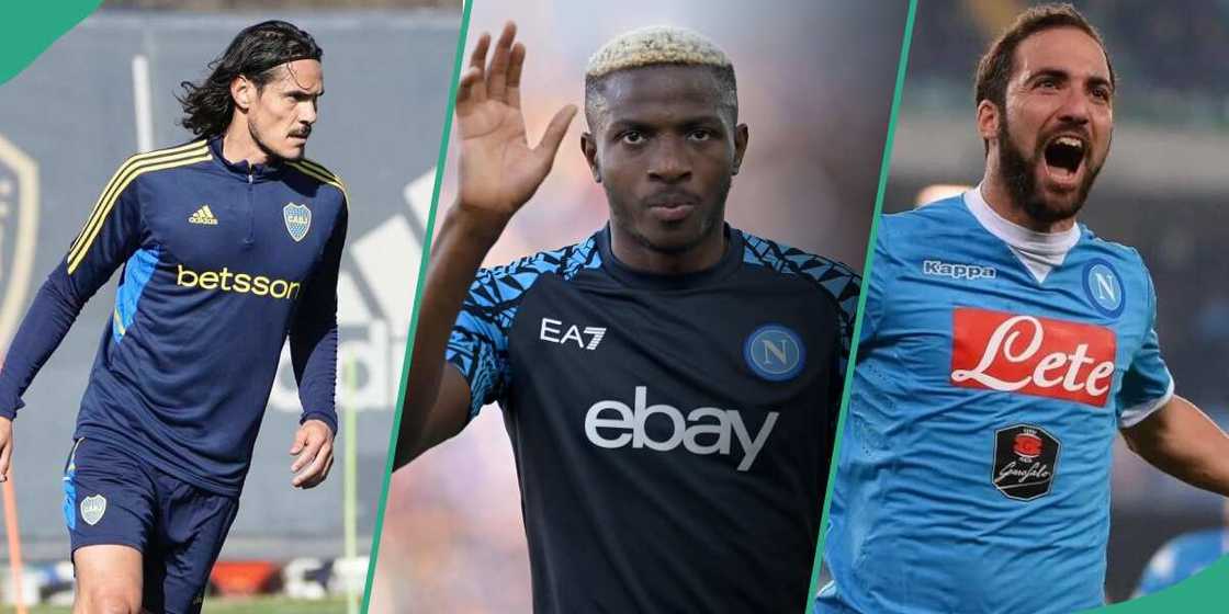 Napoli fans vote for their greatest striker between Cavani, Osimhen and Higuain Napoli fans vote for their greatest striker between Cavani, Osimhen and Higuain