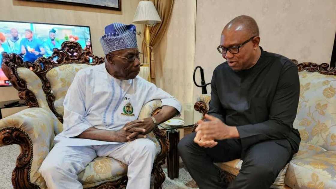 Olusegun Obasanjo/Peter Obi/2023 election/Southeast