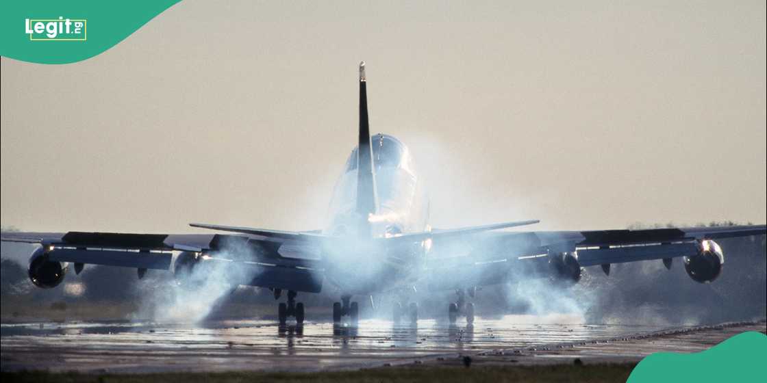 NCAA officials confirm the arrest after ground staff halted the dangerous attempt.