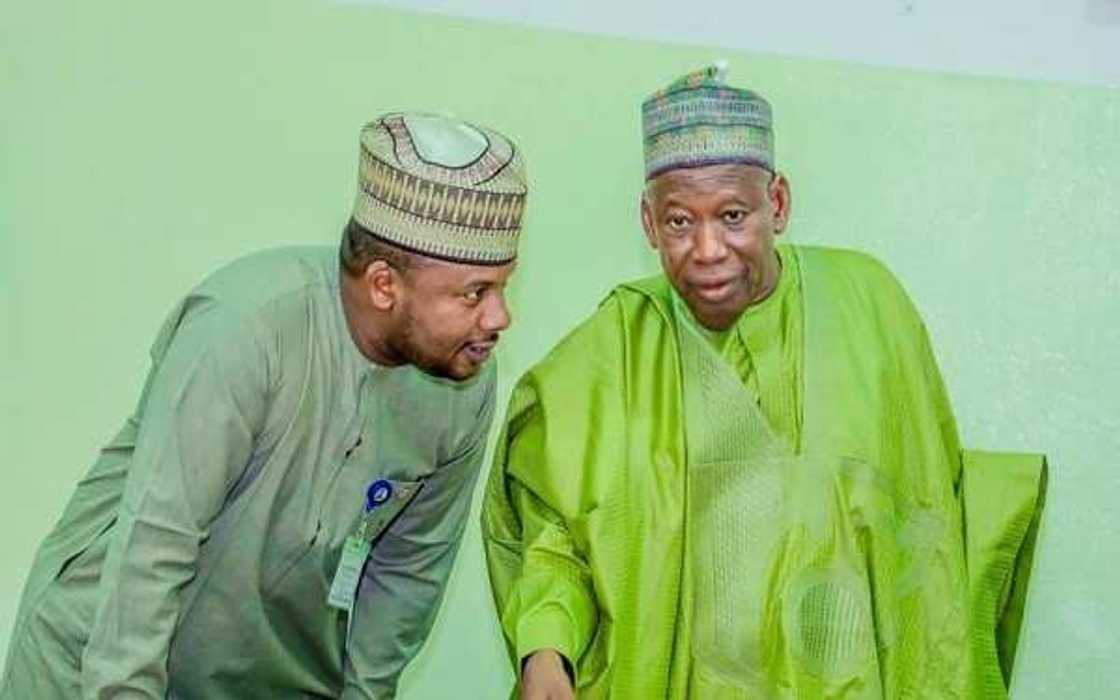 Yanzu-yanzu: Ganduje ya sallami hadiminsa Salihu Tanko Yakasai, Dawisu Yanzu-yanzu: Ganduje ya sallami hadiminsa Salihu Tanko Yakasai, Dawisu
