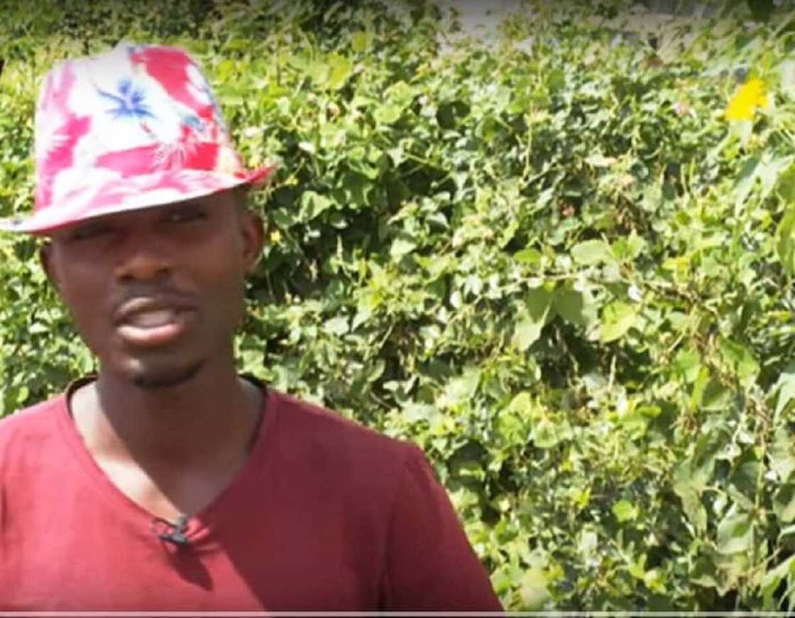 Girgizar zukata: Hotunan masoya da suka gano mahaifinsu daya ana saura kwanaki aurensu