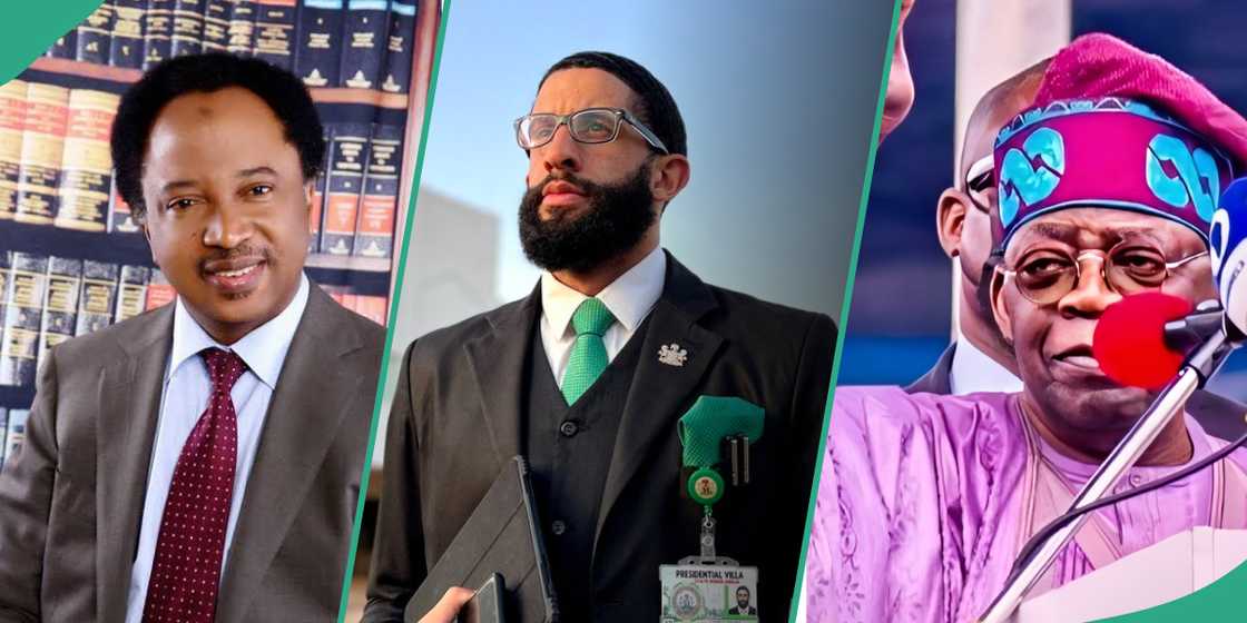 Shehu Sani, former Senator reacts to Ajuri Ngalale, Tinubu's ex-spokesman's resignation Shehu Sani, former Senator reacts to Ajuri Ngalale, Tinubu's ex-spokesman's resignation