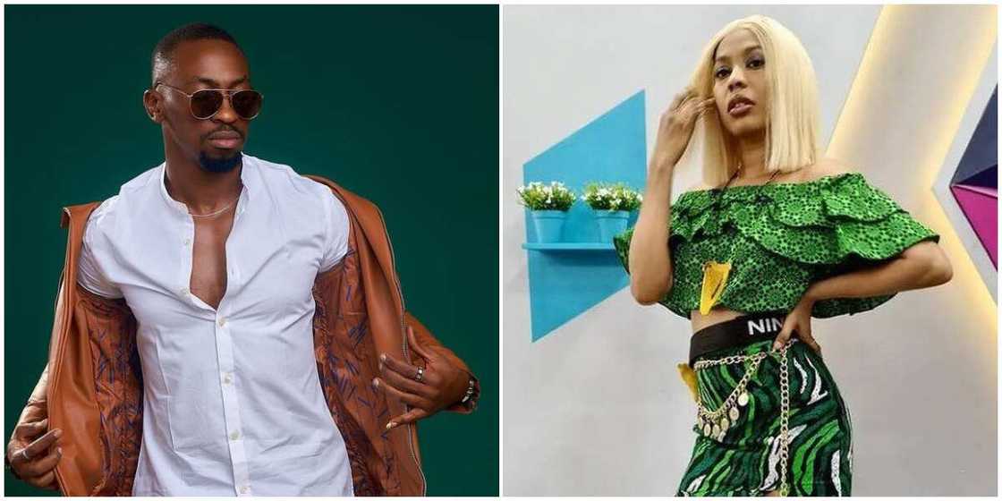 BBNaija: Saga's handler explains why housemate failed to execute prank BBNaija: Saga's handler explains why housemate failed to execute prank