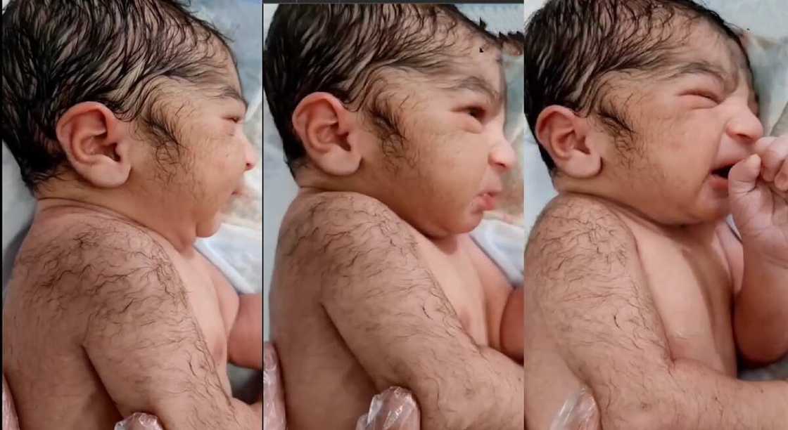Photos of a newborn baby endowed with plenty of hair. Photos of a newborn baby endowed with plenty of hair.