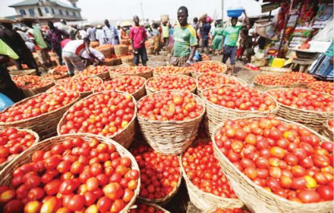 Farashin wasu kayan abinci sun fadi war-was a Kano ana daf da fara azumin Ramadan Farashin wasu kayan abinci sun fadi war-was a Kano ana daf da fara azumin Ramadan