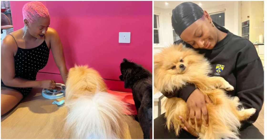 Man tells DJ Cuppy to be a single mum, she reacts Man tells DJ Cuppy to be a single mum, she reacts