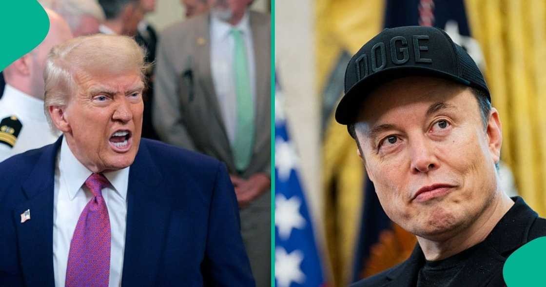 US President Donald Trump has finally spoken out on the possibility of deporting Elon Musk to South Africa.