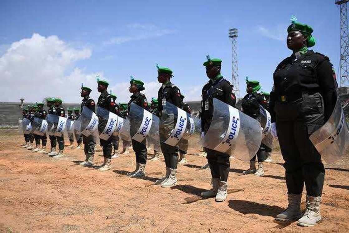 Jami'an yan sanda Jami'an yan sanda