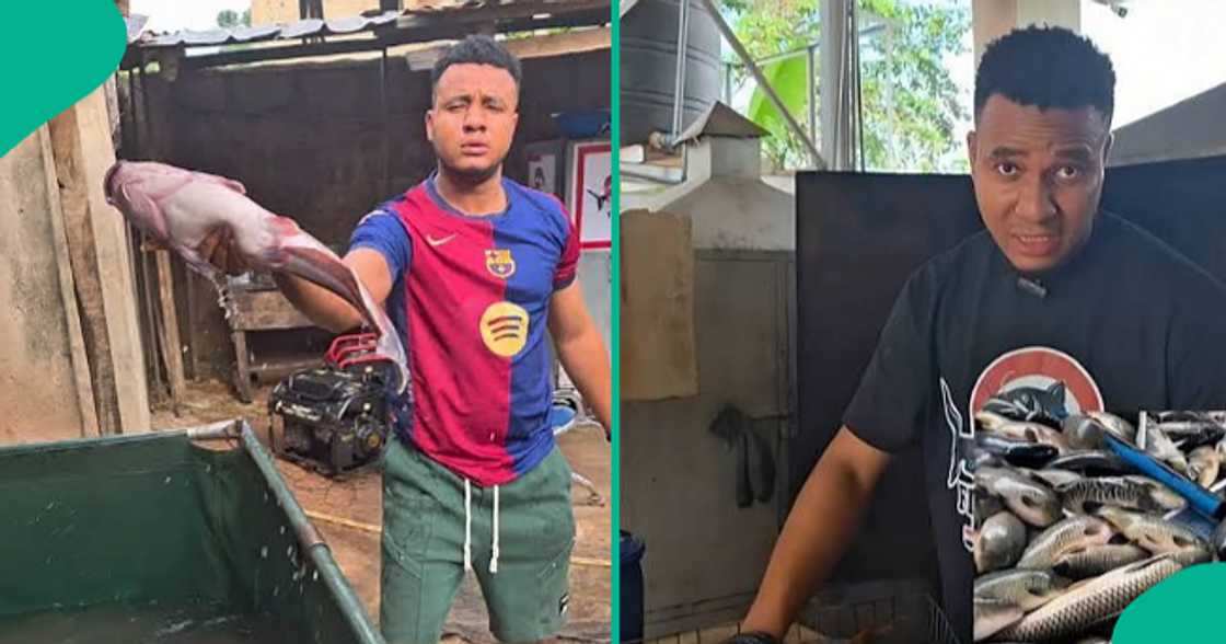 Fish Magnet's mother captured in a new video at her son's businessplace. Fish Magnet's mother captured in a new video at her son's businessplace.