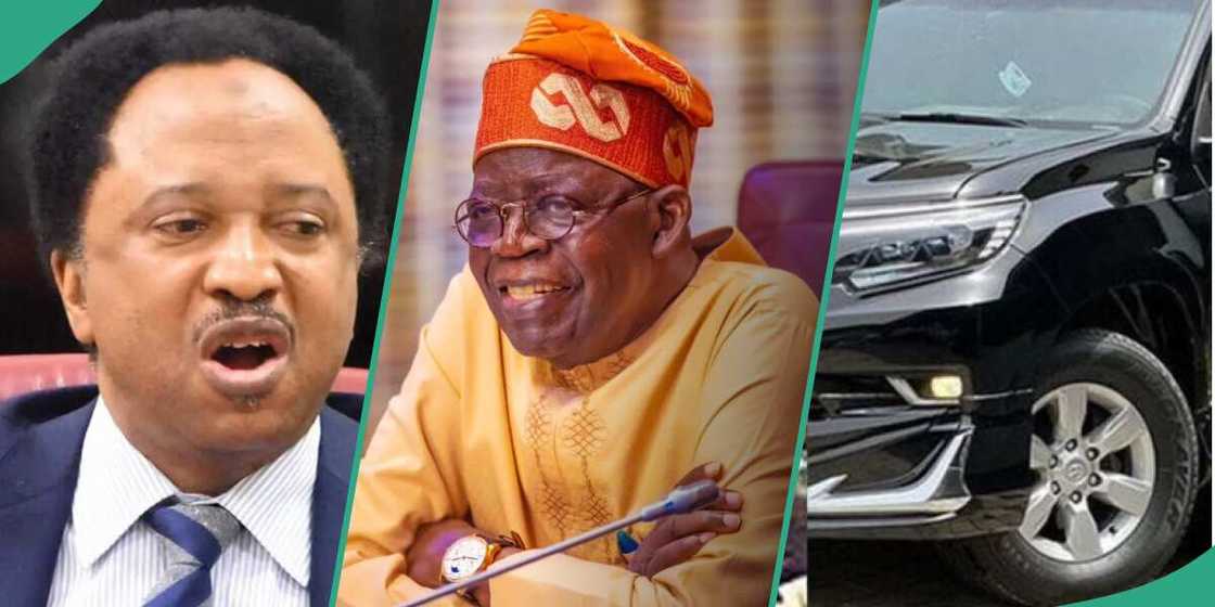 National Assembly, Shehu Sani, Bola Tinubu, Labour Party, SUV, House of Reps