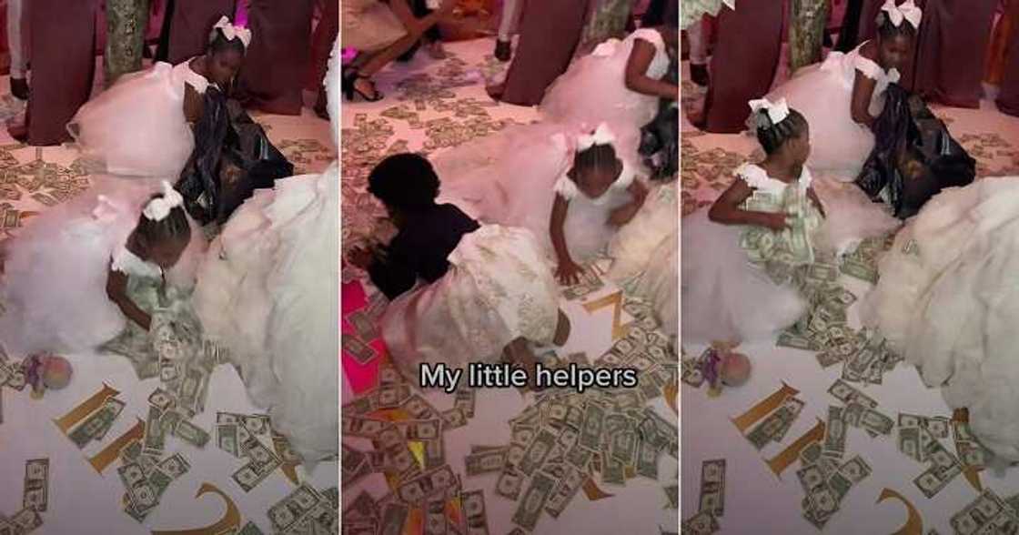 Dollar rains at wedding Dollar rains at wedding