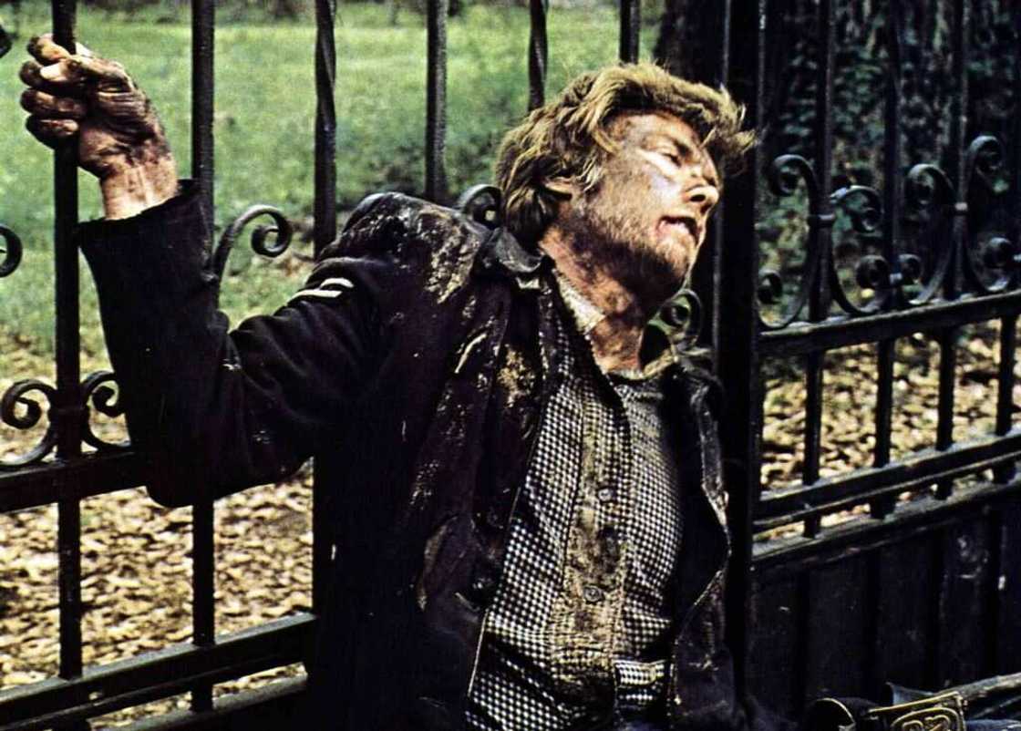 Clint Eastwood en 92 films, de l’acteur au réalisateur exceptionnel Clint Eastwood en 92 films, de l’acteur au réalisateur exceptionnel