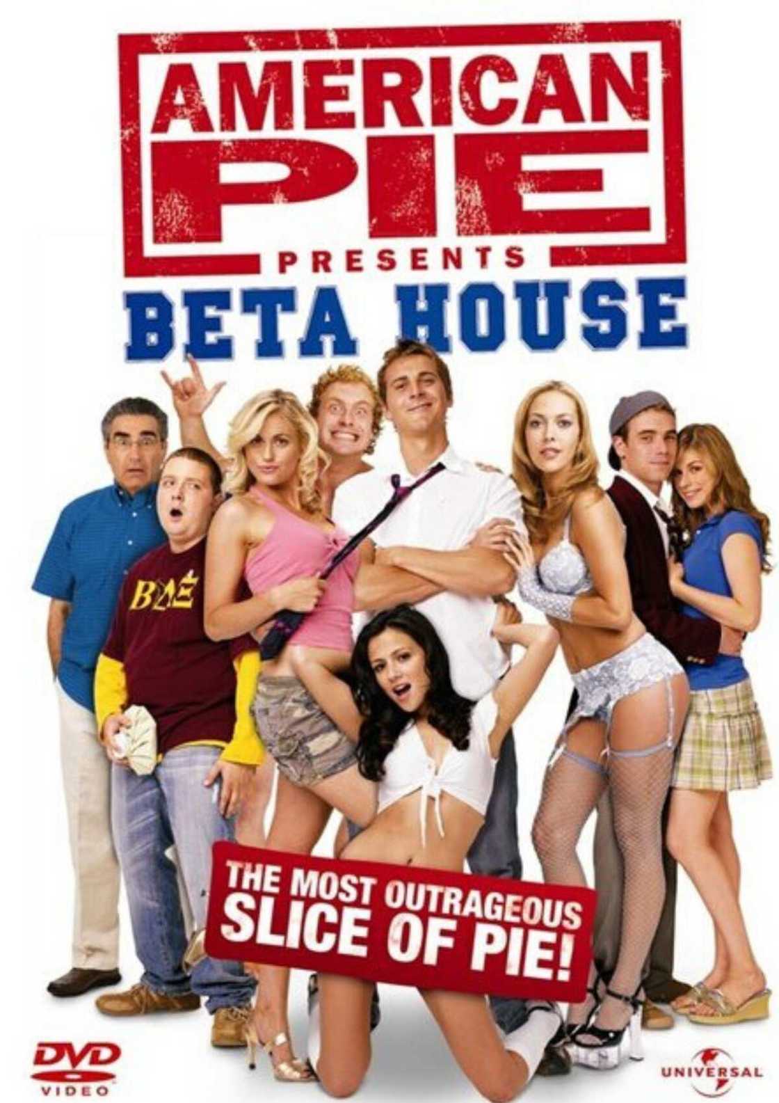 american pie franchise american pie franchise