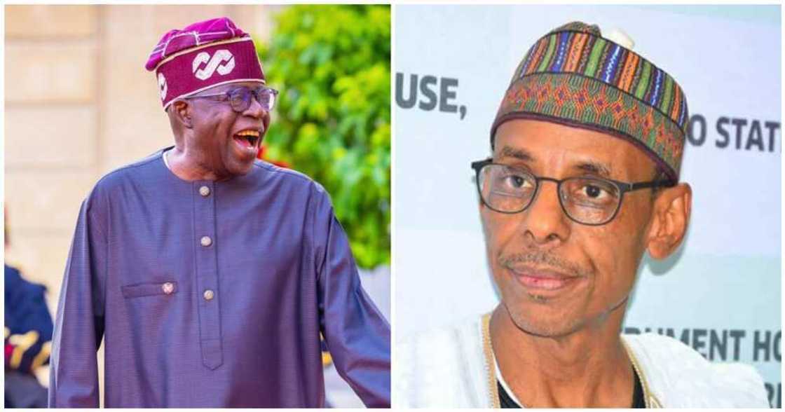 Dattawan Arewa sun yabi Tinubu kan nadin Hakeem mukami Dattawan Arewa sun yabi Tinubu kan nadin Hakeem mukami